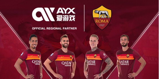 结合政府的